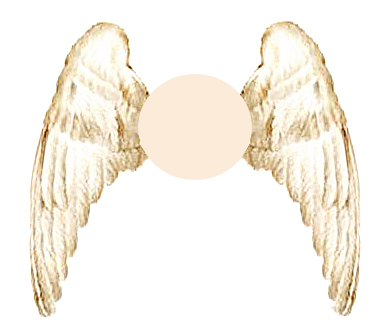 Angel Wings Simple